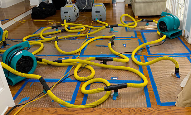Professional Storm Water Damage Restoration technician working in South Weymouth, MA